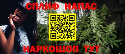гашик Кунгур
