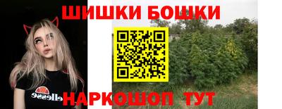 гашик Кунгур