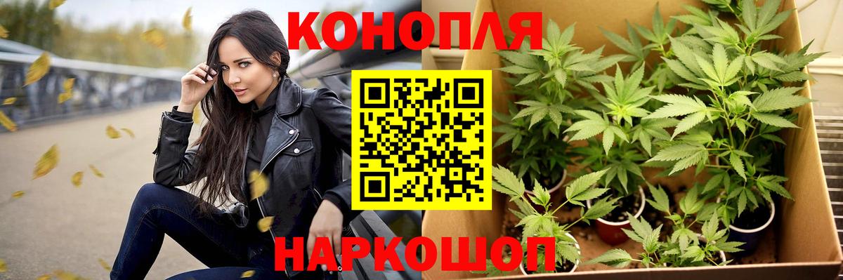 Марихуана планчик  Вход с VPN  Ипатово  Бошки марихуана конопля 